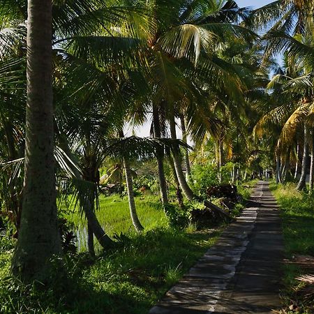 Satori Villas Bali Ubud Buitenkant foto