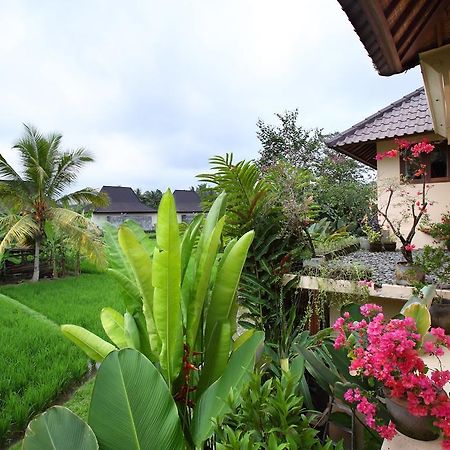 Satori Villas Bali Ubud Buitenkant foto