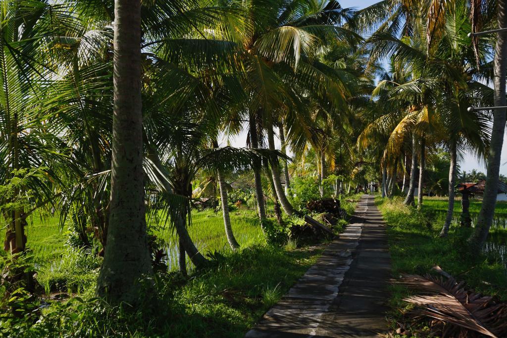 Satori Villas Bali Ubud Buitenkant foto