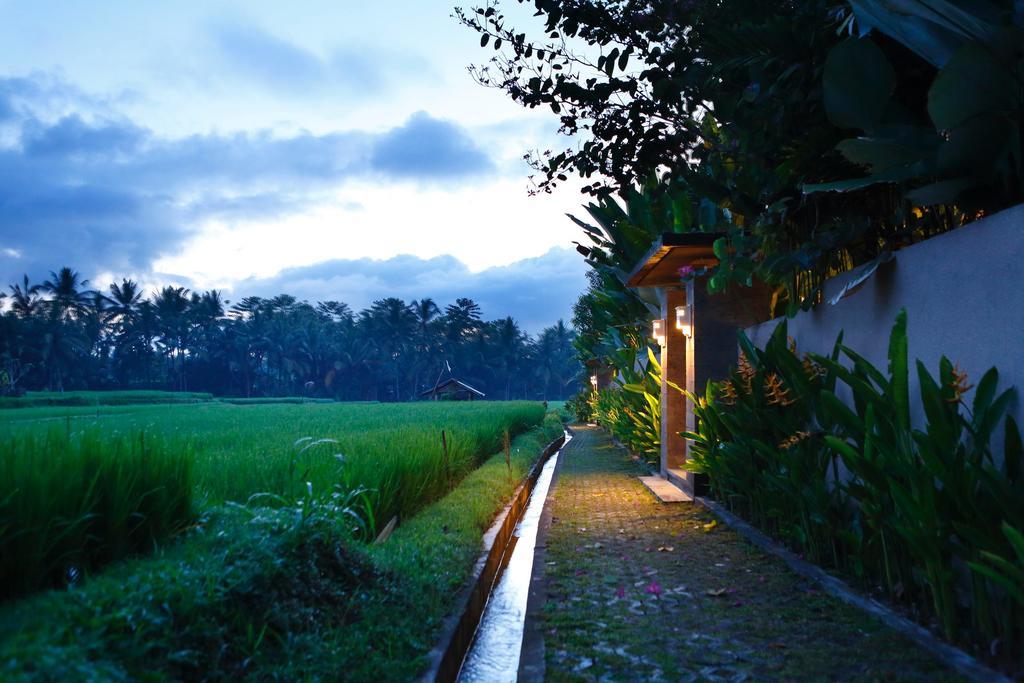 Satori Villas Bali Ubud Buitenkant foto