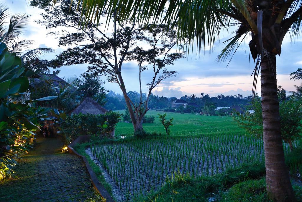 Satori Villas Bali Ubud Buitenkant foto