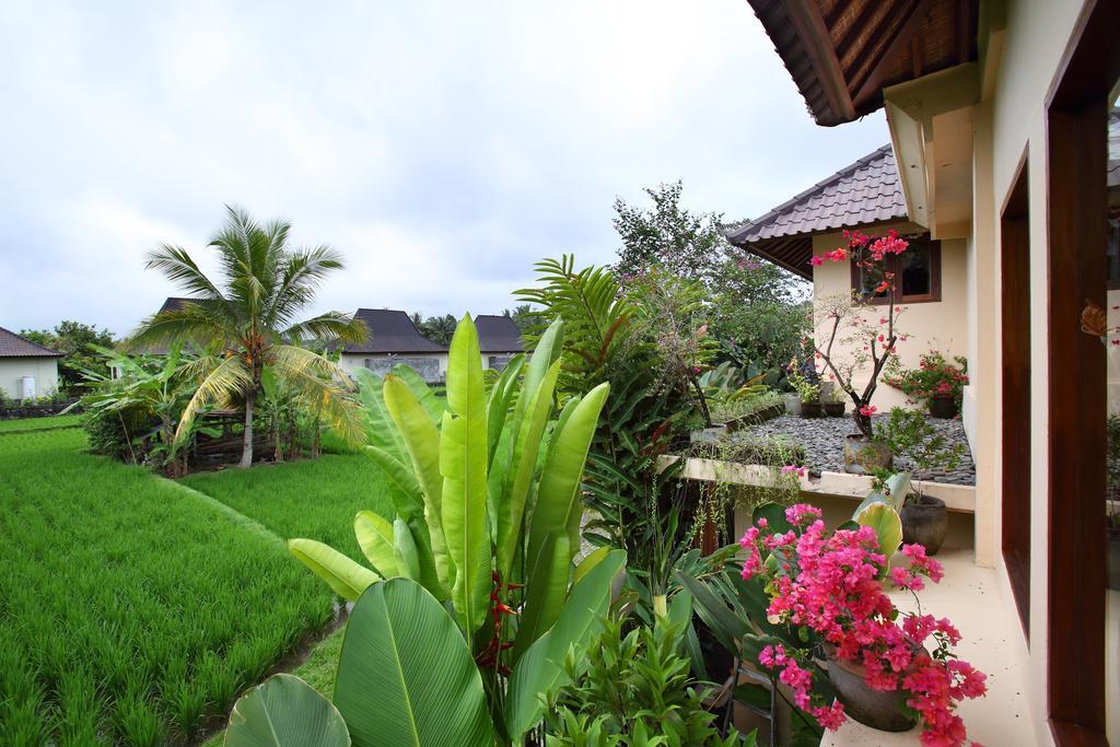 Satori Villas Bali Ubud Buitenkant foto