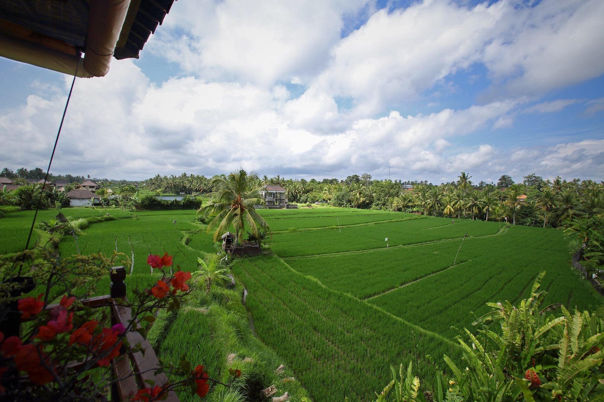 Satori Villas Bali Ubud Buitenkant foto